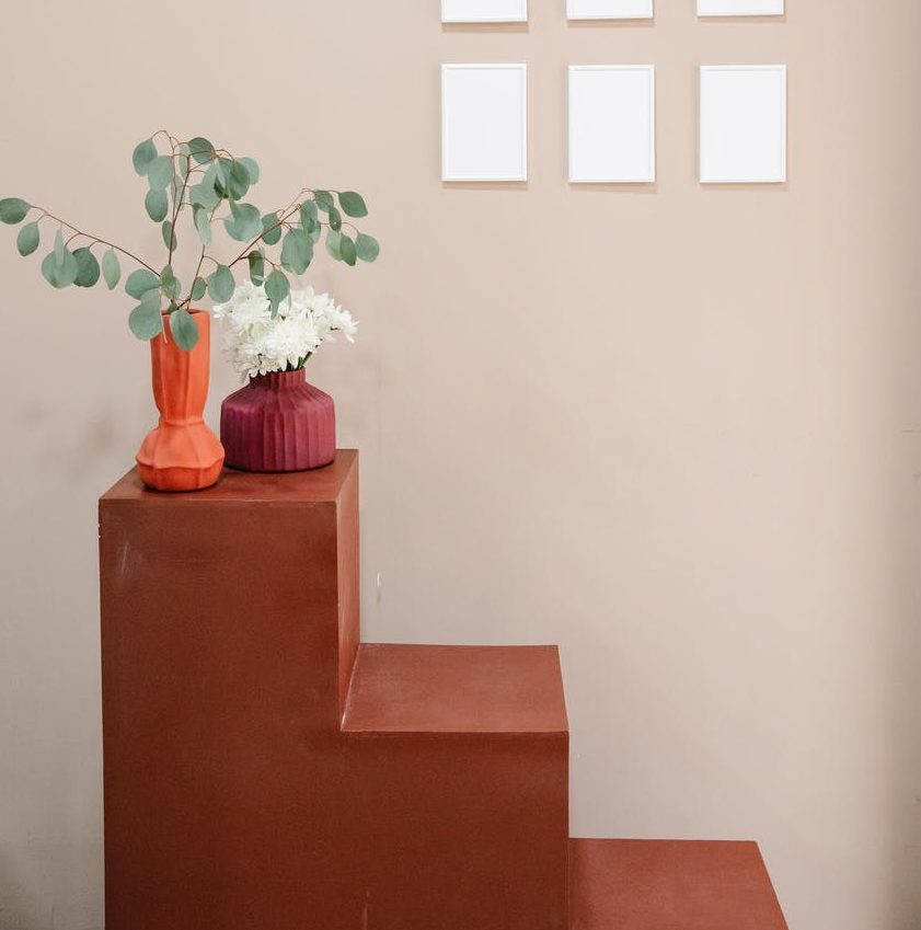 delicate plants in vases placed on stepped shelf near wall with blank framed papers